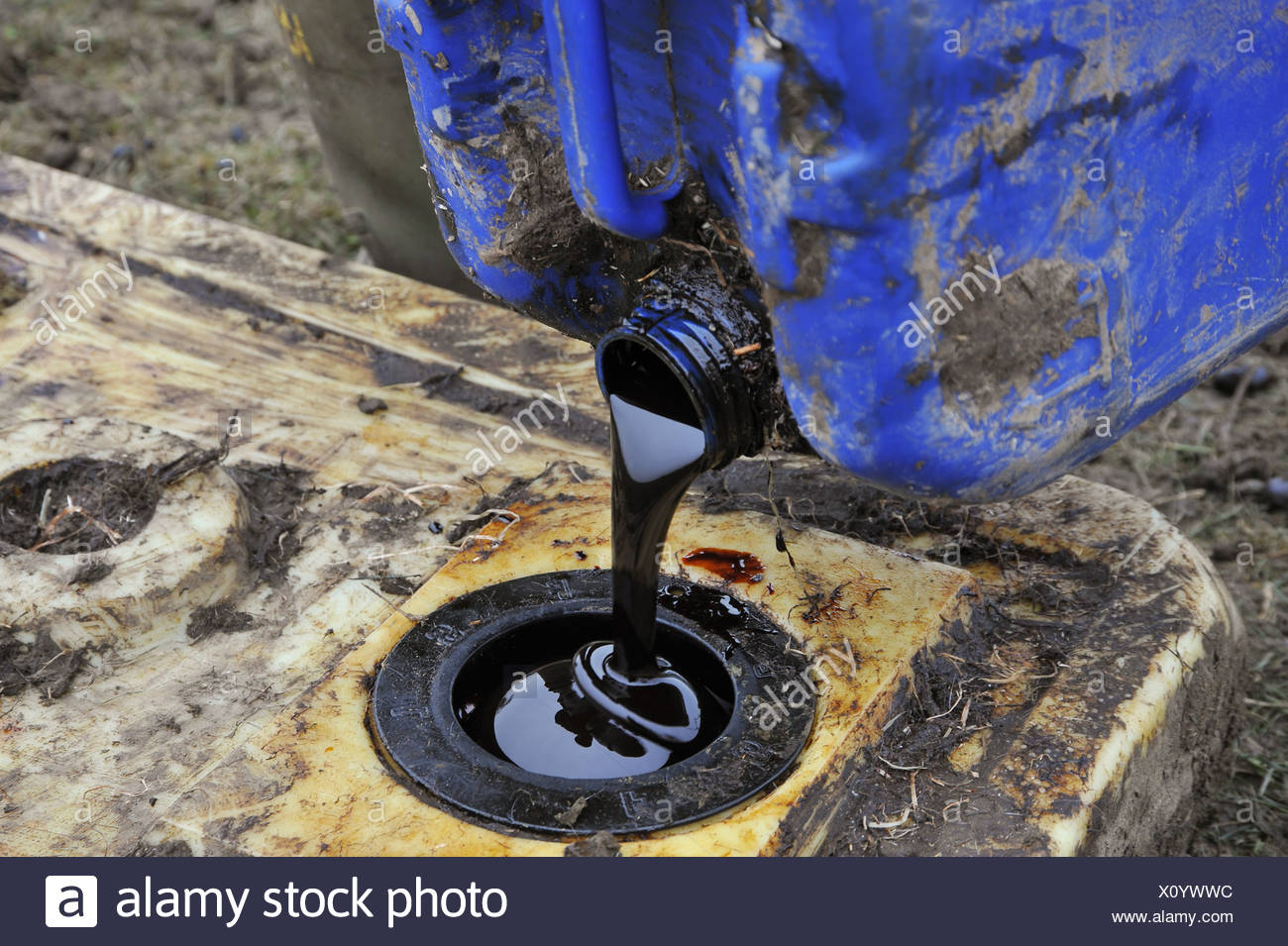 Molasses Feed Lick Stock Photos & Molasses Feed Lick Stock Images Alamy