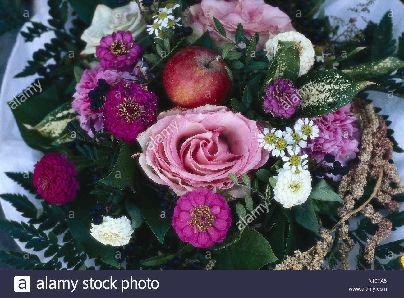 Carnations And Roses High Resolution Stock Photography And Images Alamy