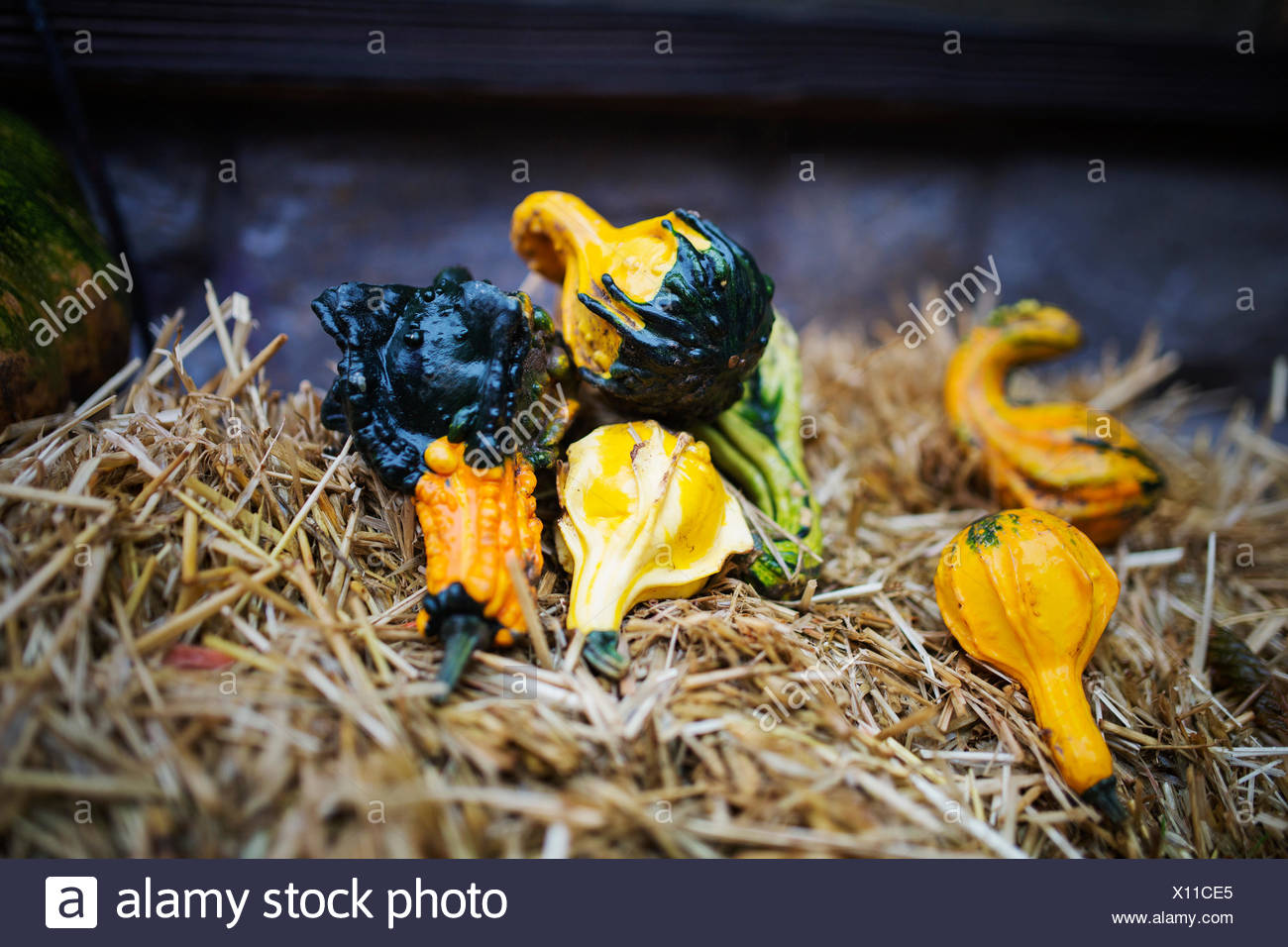 Pumpkin Decoration On Hay Bale Stock Photo 276012301 Alamy