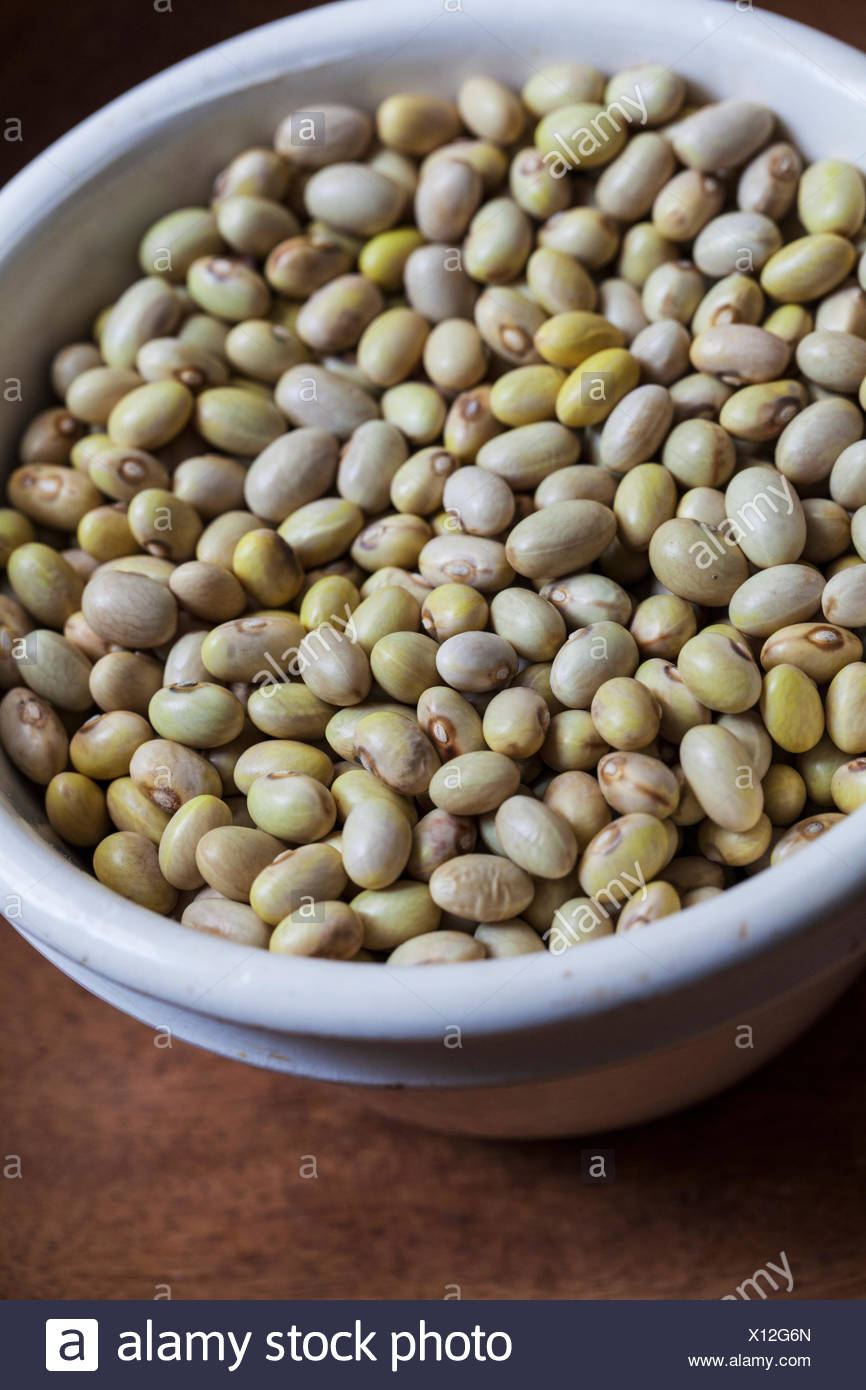 Heirloom Hutterite Soup Bean High Resolution Stock Photography and