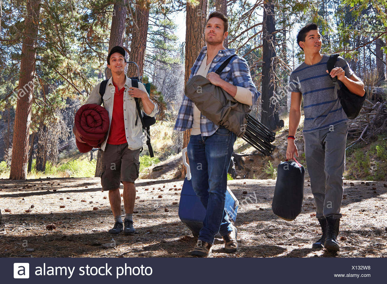 Three young men in forest with camping equipment, Los Angeles ...