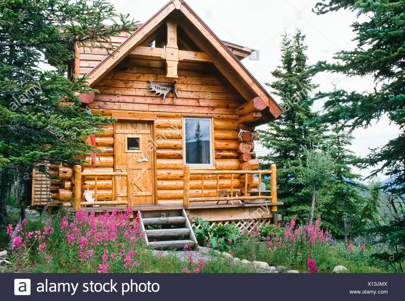 Alaska Denali Np Alaska Log Cabin Built By Tom Walker Pr Stock