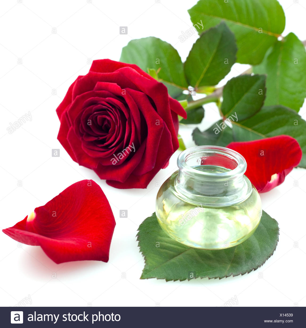 Wellness Relax Massage Oil Rose Oil Stock Photo 276072365 Alamy