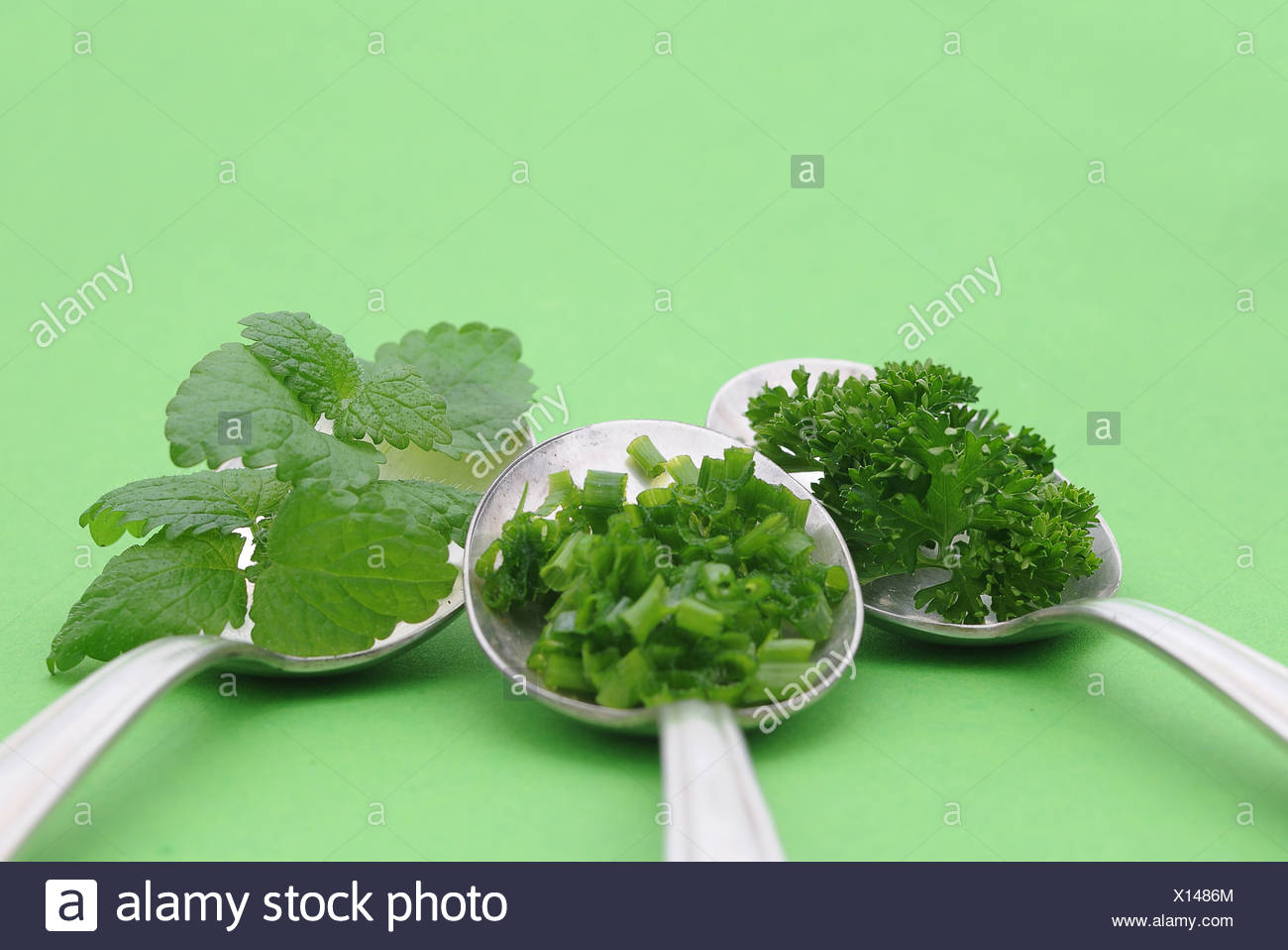 Old Mint High Resolution Stock Photography and Images Alamy