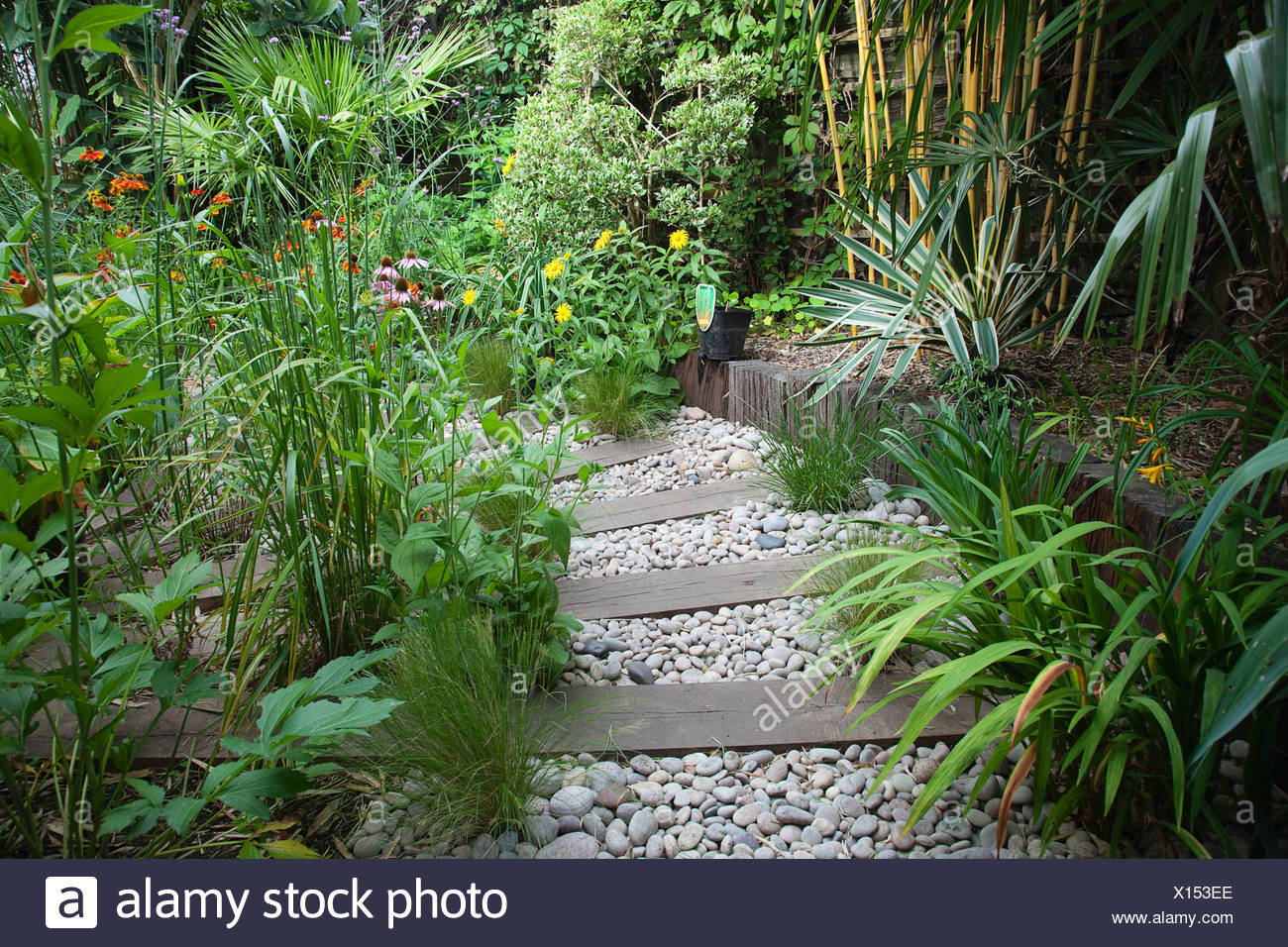 Urban Garden With Pebble Path And Railway Sleepers Planting Includes Helenium Indian Summer Echinacea Purpurea And Rudbeckia Stock Photo Alamy