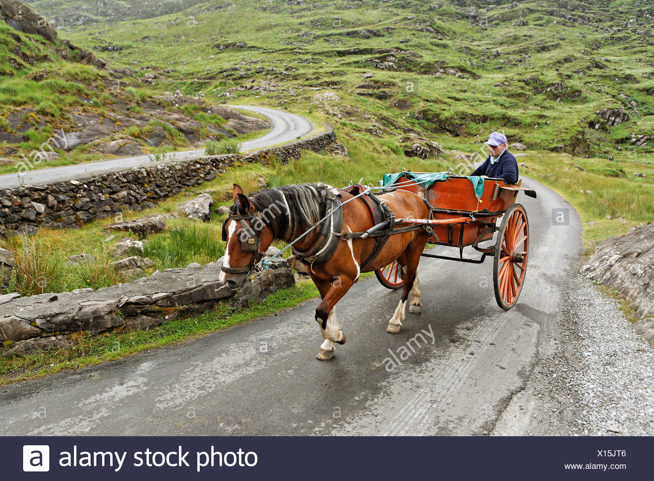 Horse Carriage On The Road To The Gap Of Dunloe Killarney