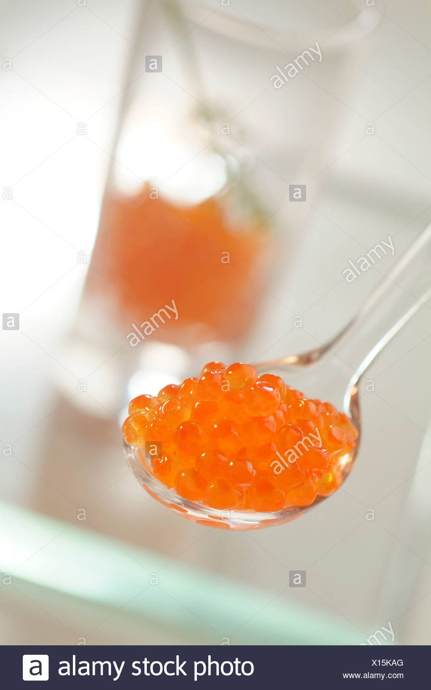 Roe Stock Photos & Roe Stock Images Alamy