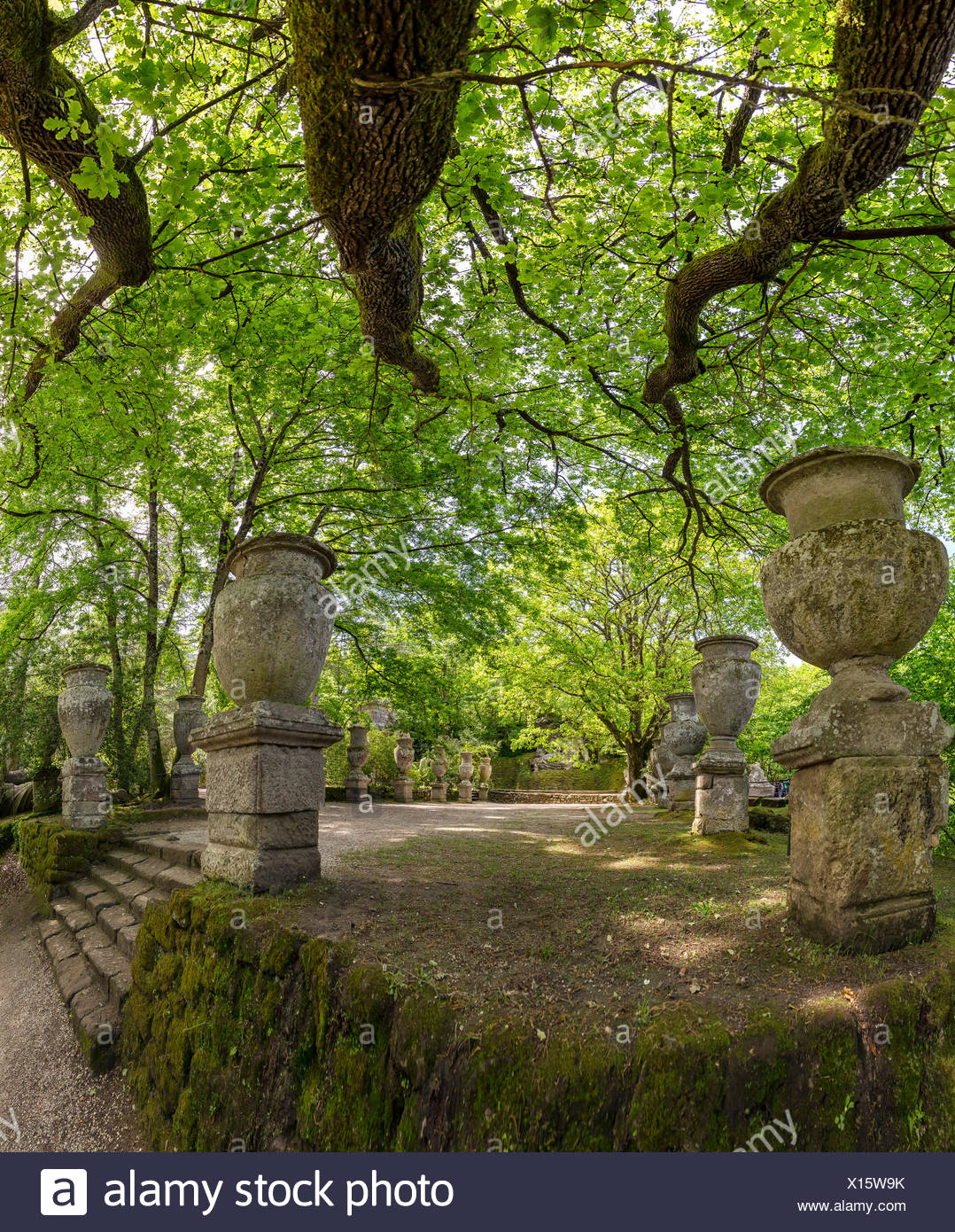 Italy Europe Lazio Bomarzo Landscape Forest Wood Trees