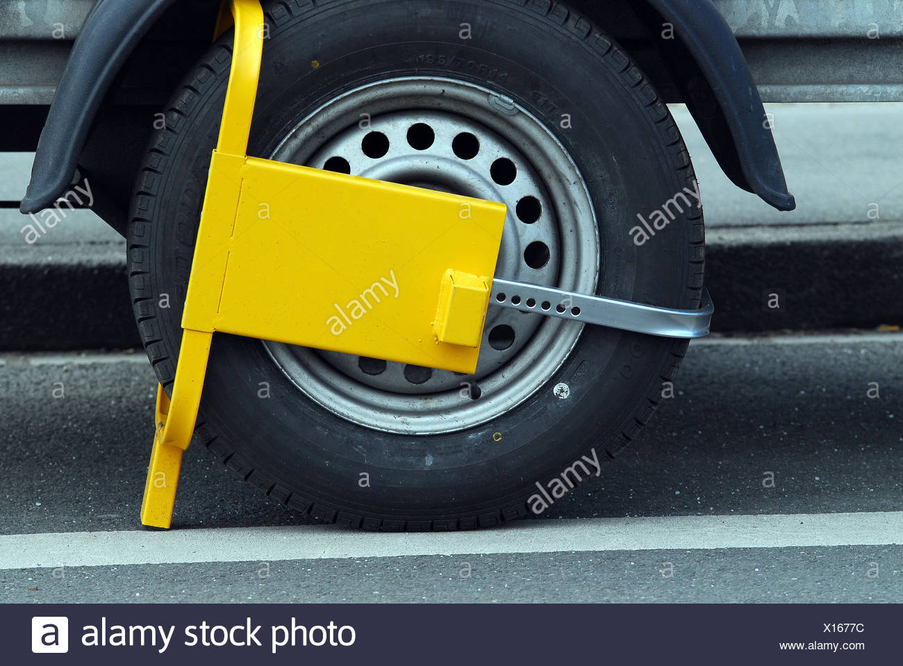 Am-Tech Radkralle
