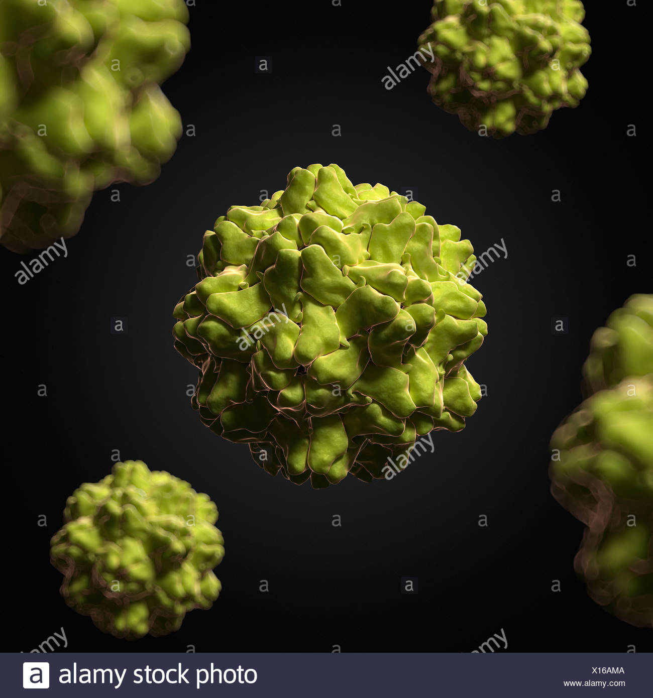 Turnip Yellow Mosaic Virus High Resolution Stock Photography and Images