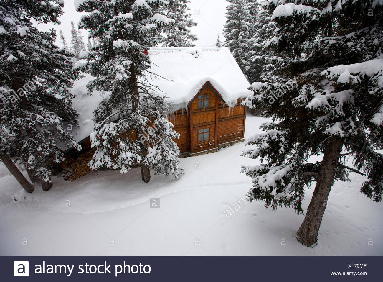 A Snow Covered Cabin In Banff National Park Alberta Stock Photo