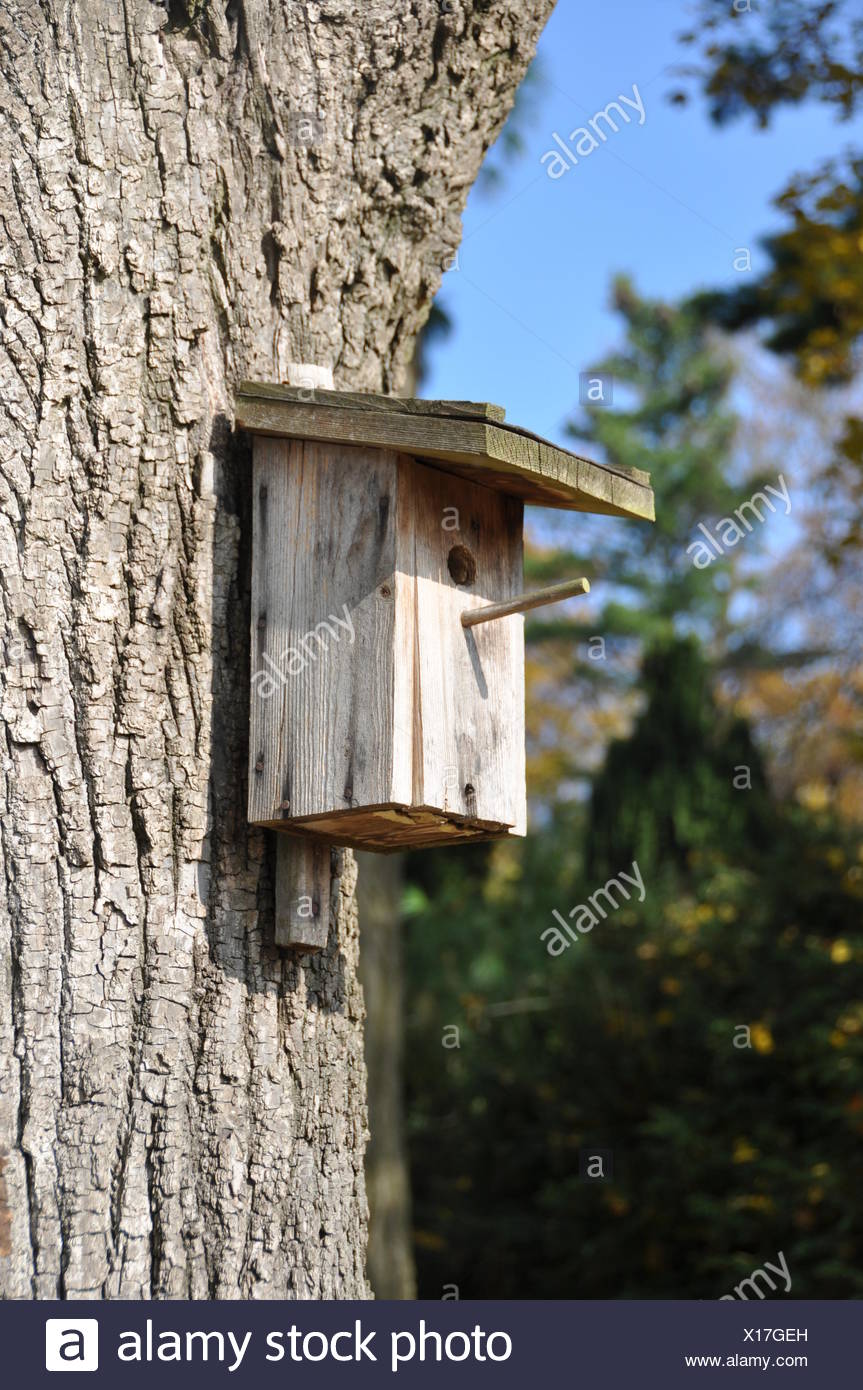 Feeder Bird Wooden Birdhouse Stock Photos Feeder Bird Wooden