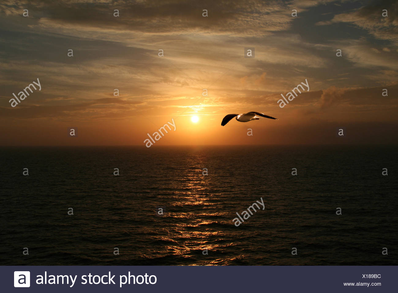 blue horizon sunset romantic waves sail reflection romanticism width mood Stock Photo