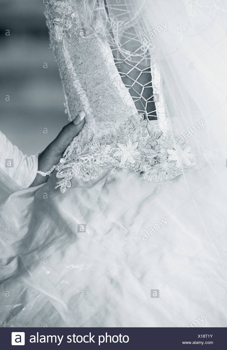 Dress Of A Bride Stock Photo 276175031 Alamy
