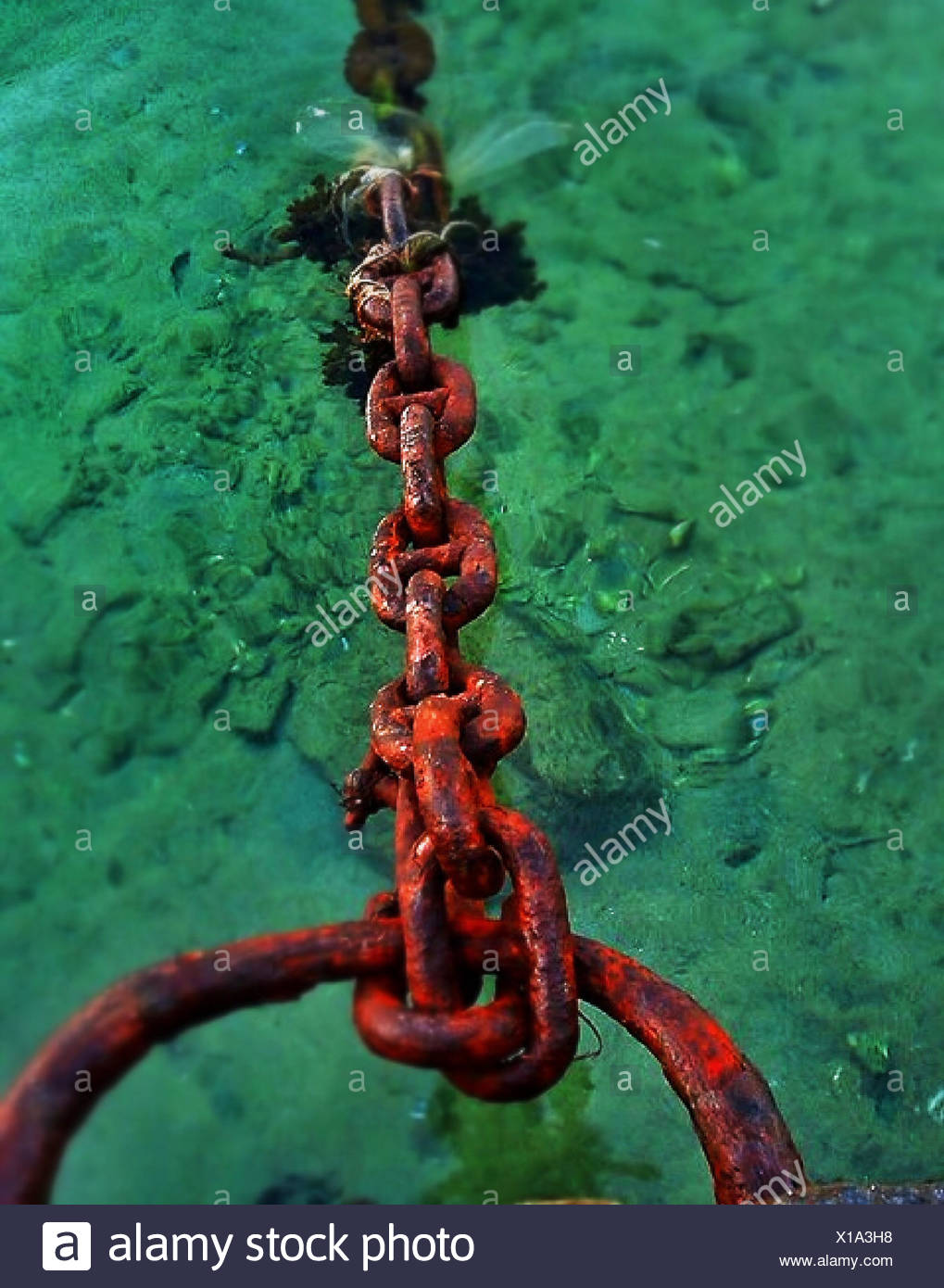 Anchor Chain Underwater Stock Photos & Anchor Chain Underwater Stock