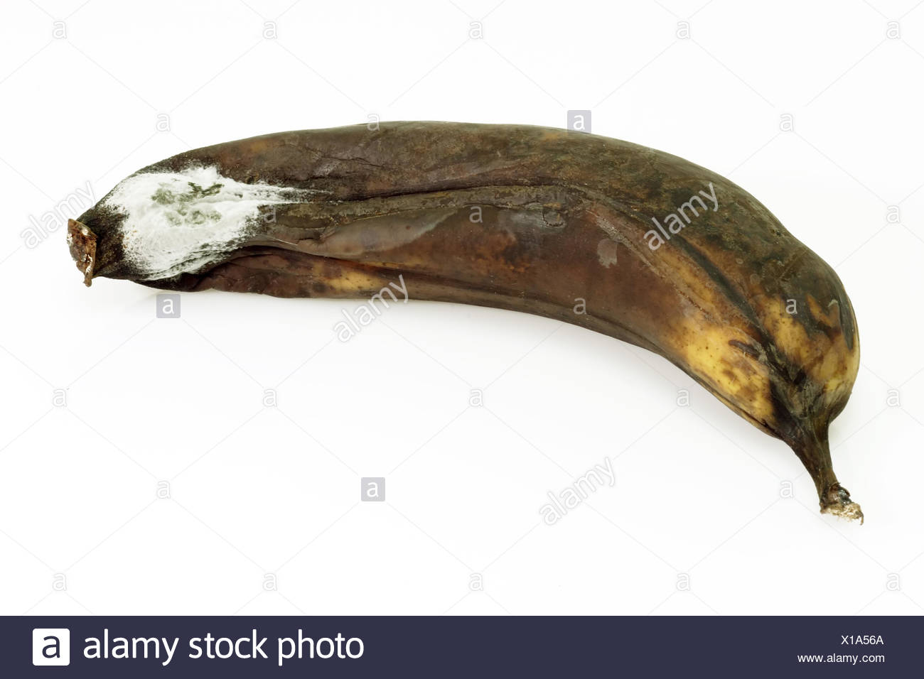 Banana High Resolution Stock Photography and Images Alamy