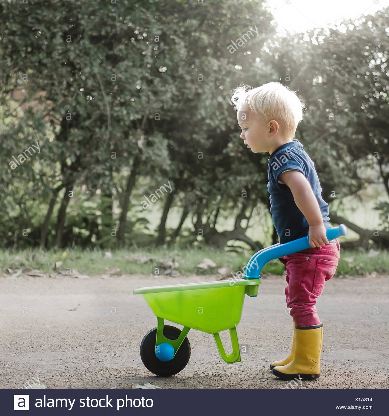 toddler wheelbarrow