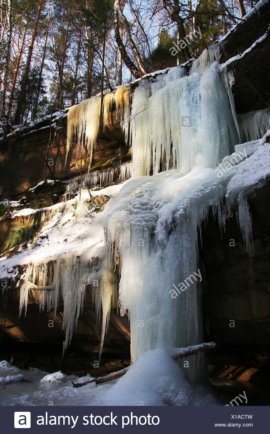 Tree Trees Winter Cold Rock Ice Winter Landscape Icicle Icicles Glitter Forest Stock Photo Alamy