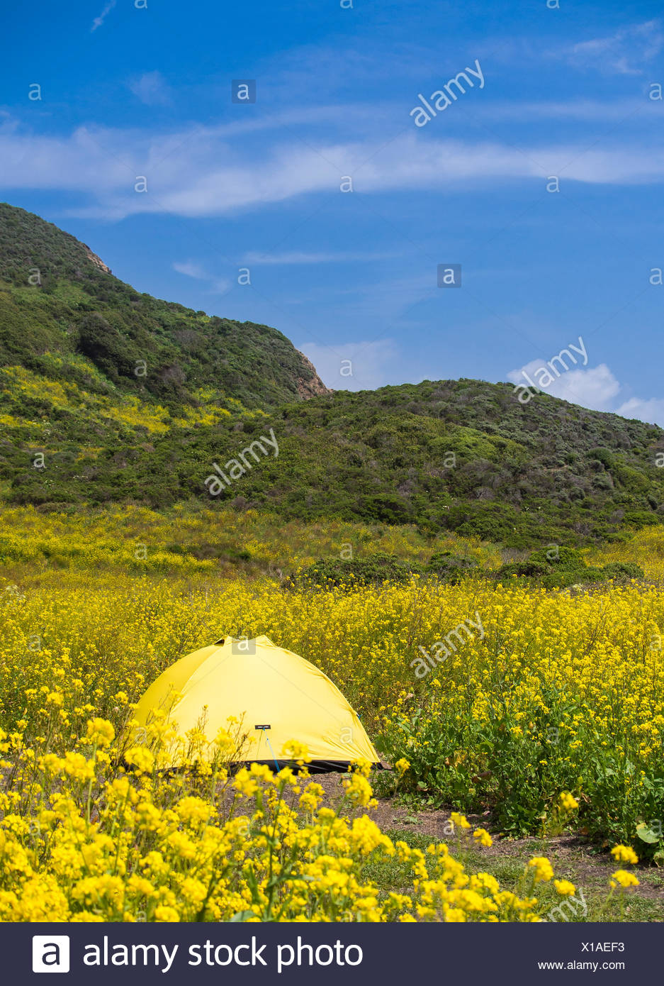 Wildcat Campground Point Reyes National Sea Shore Stock Photo Alamy