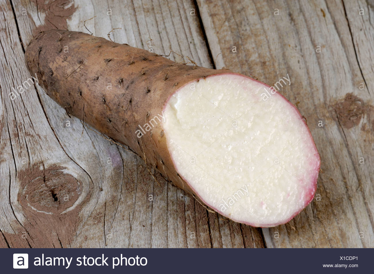 Yam Root Dioscorea Alata High Resolution Stock Photography and Images