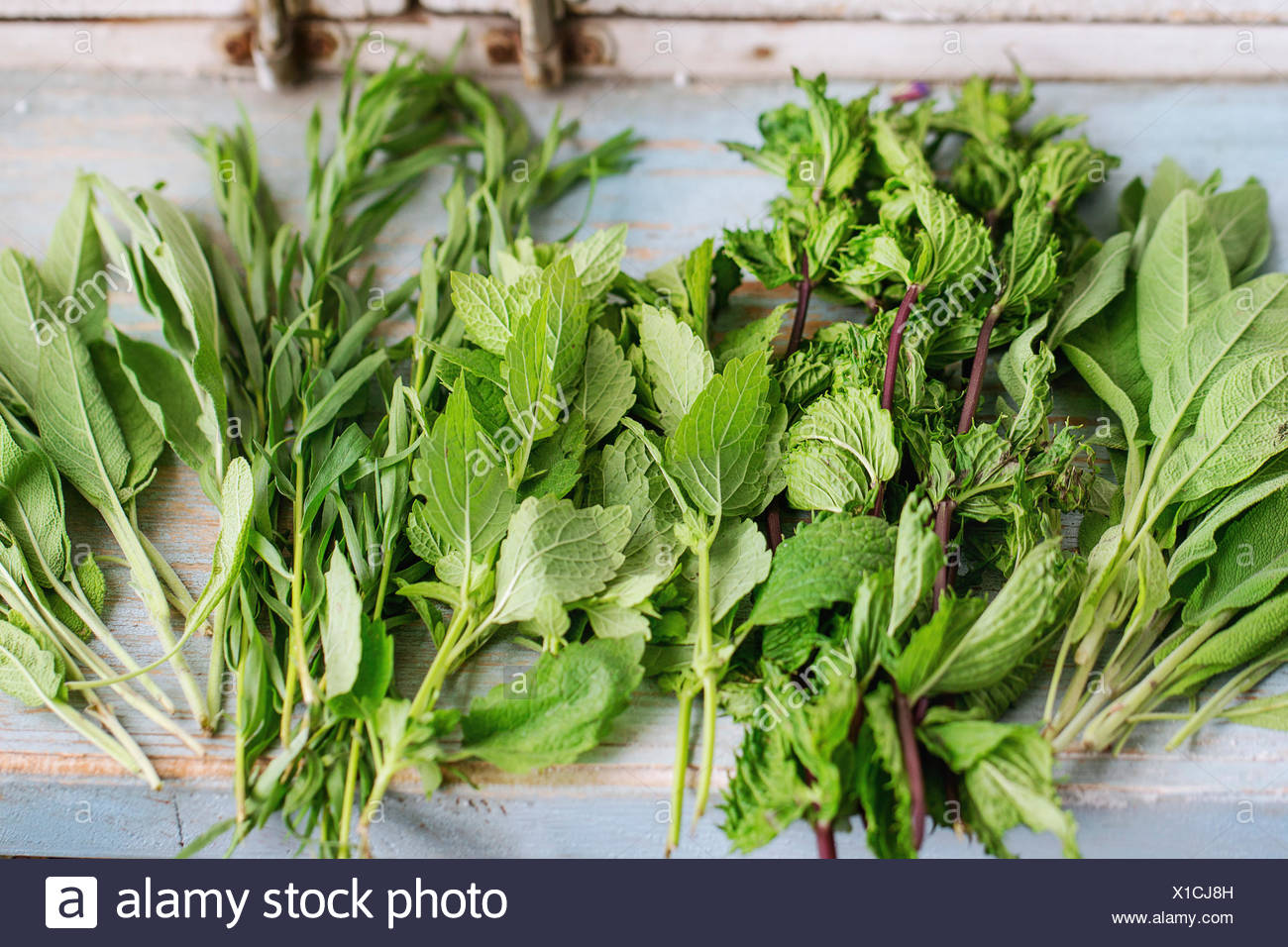 Assortment Of Fresh Herbs Mint Oregano Thym Blooming Sage On