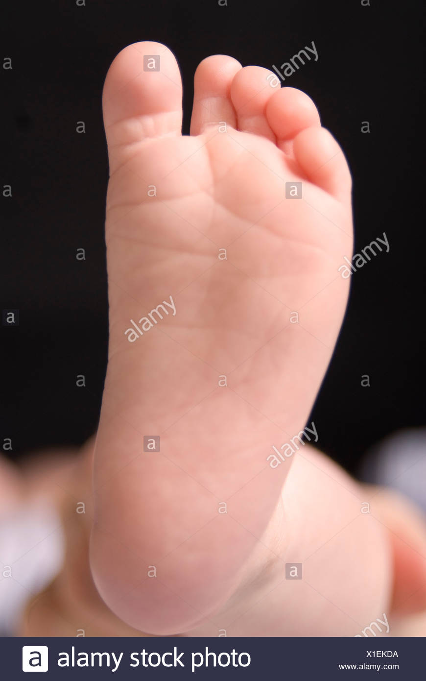 Foot Of A Baby 2 Month Old Stock Photo Alamy