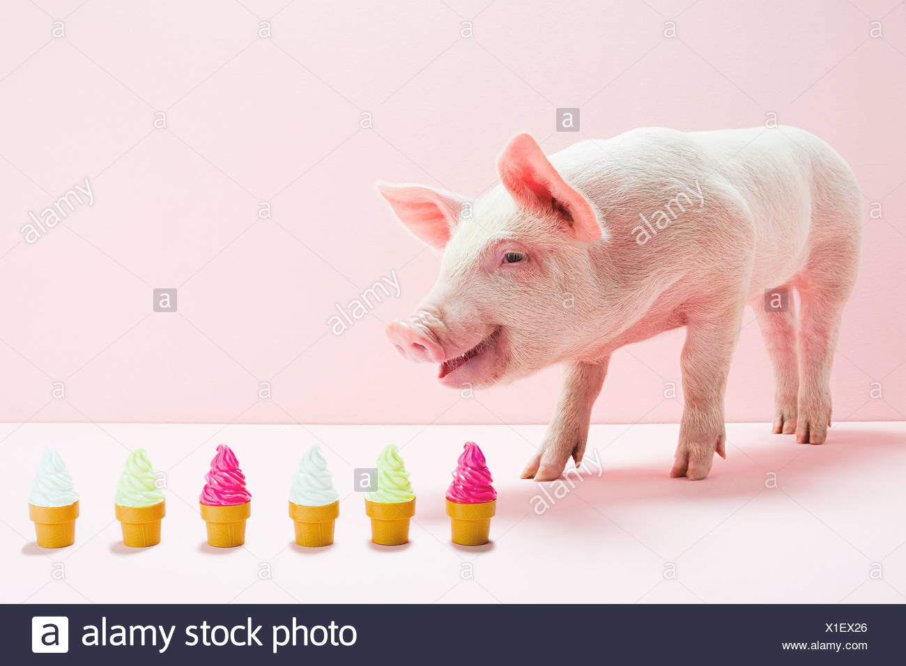 Pig studios. Le pig studio. Pig studios. Статуи свинки пеппы. Pig studios.