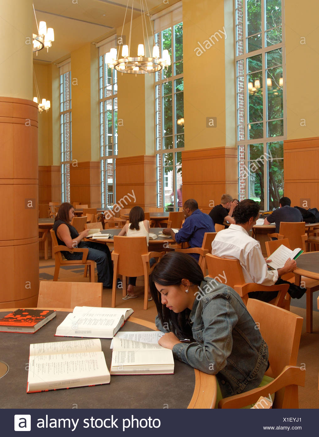 Group Of Young Adult Students Studying In The Library Of Brooklyn