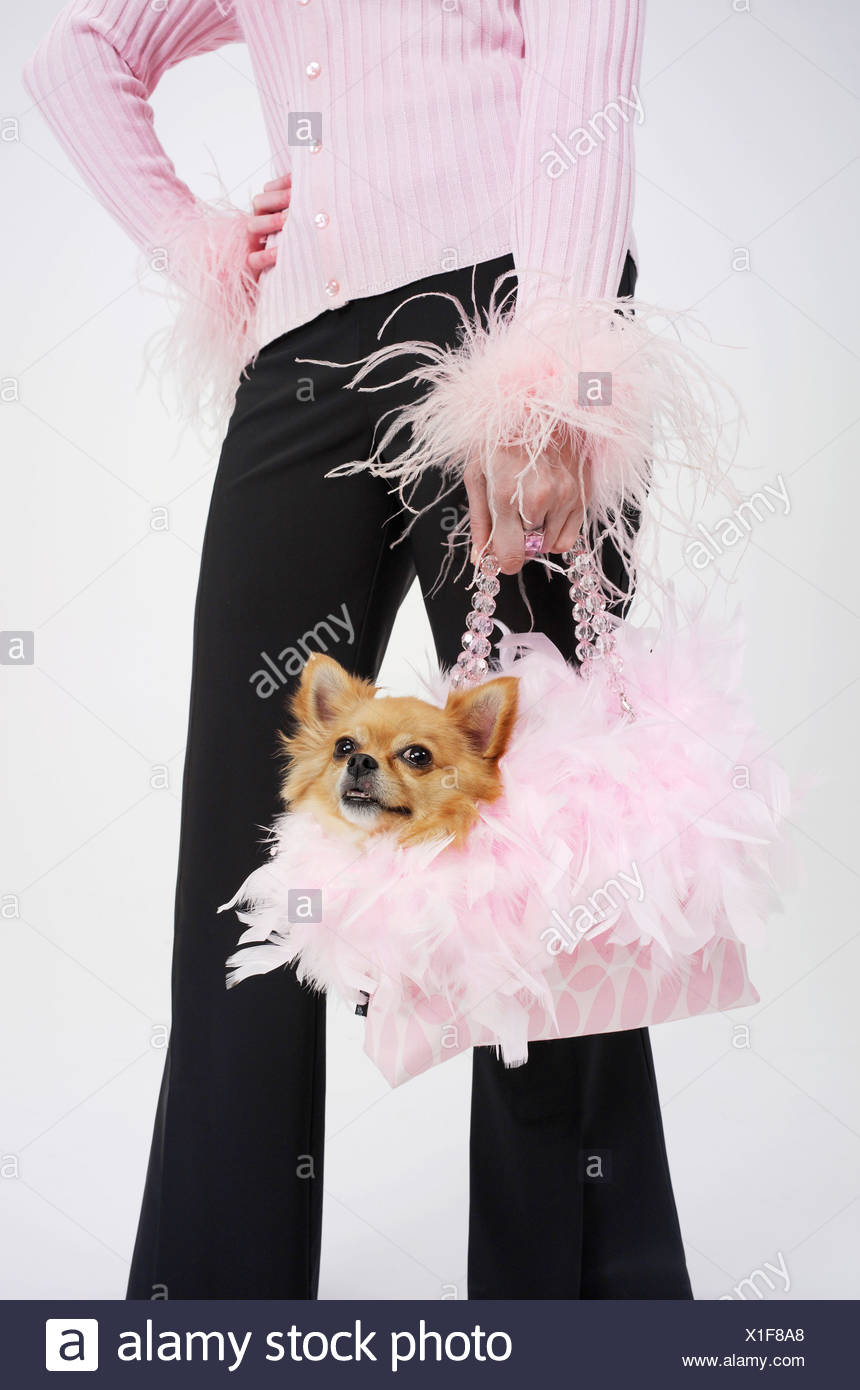 dog ladies purse