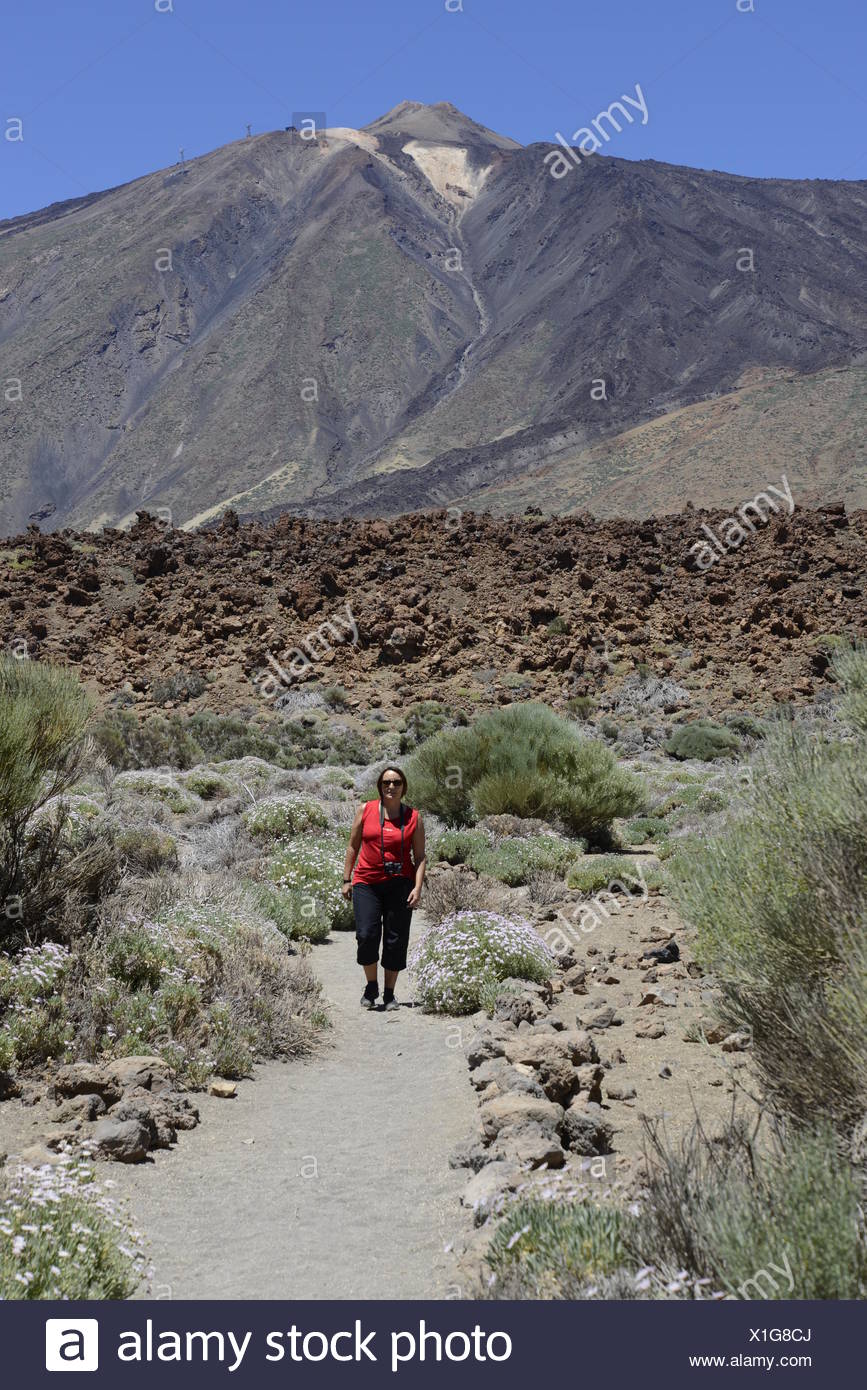 32+ Pico Del Teide Wanderung Images