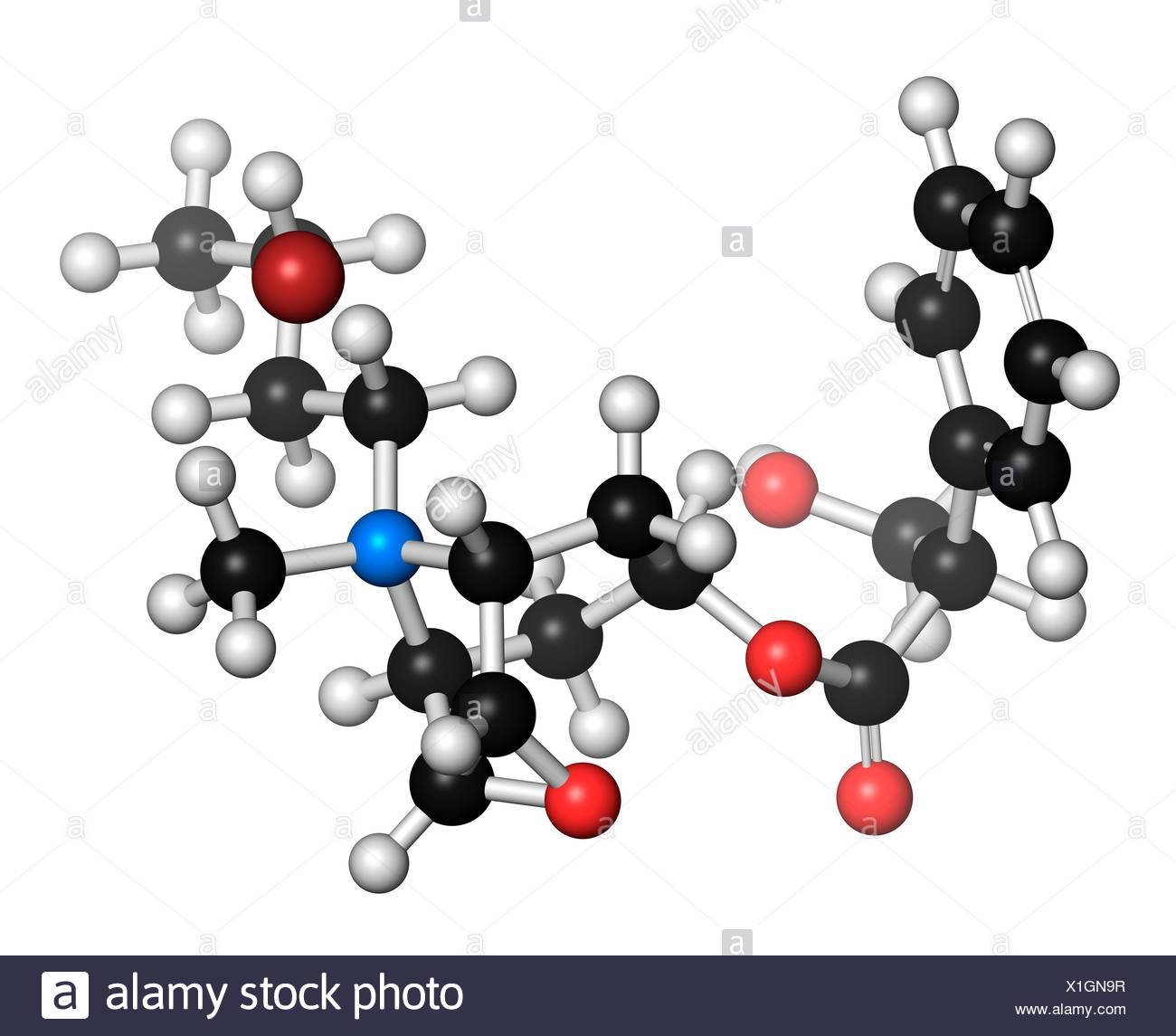 Antispasmodic Stock Photos & Antispasmodic Stock Images - Alamy