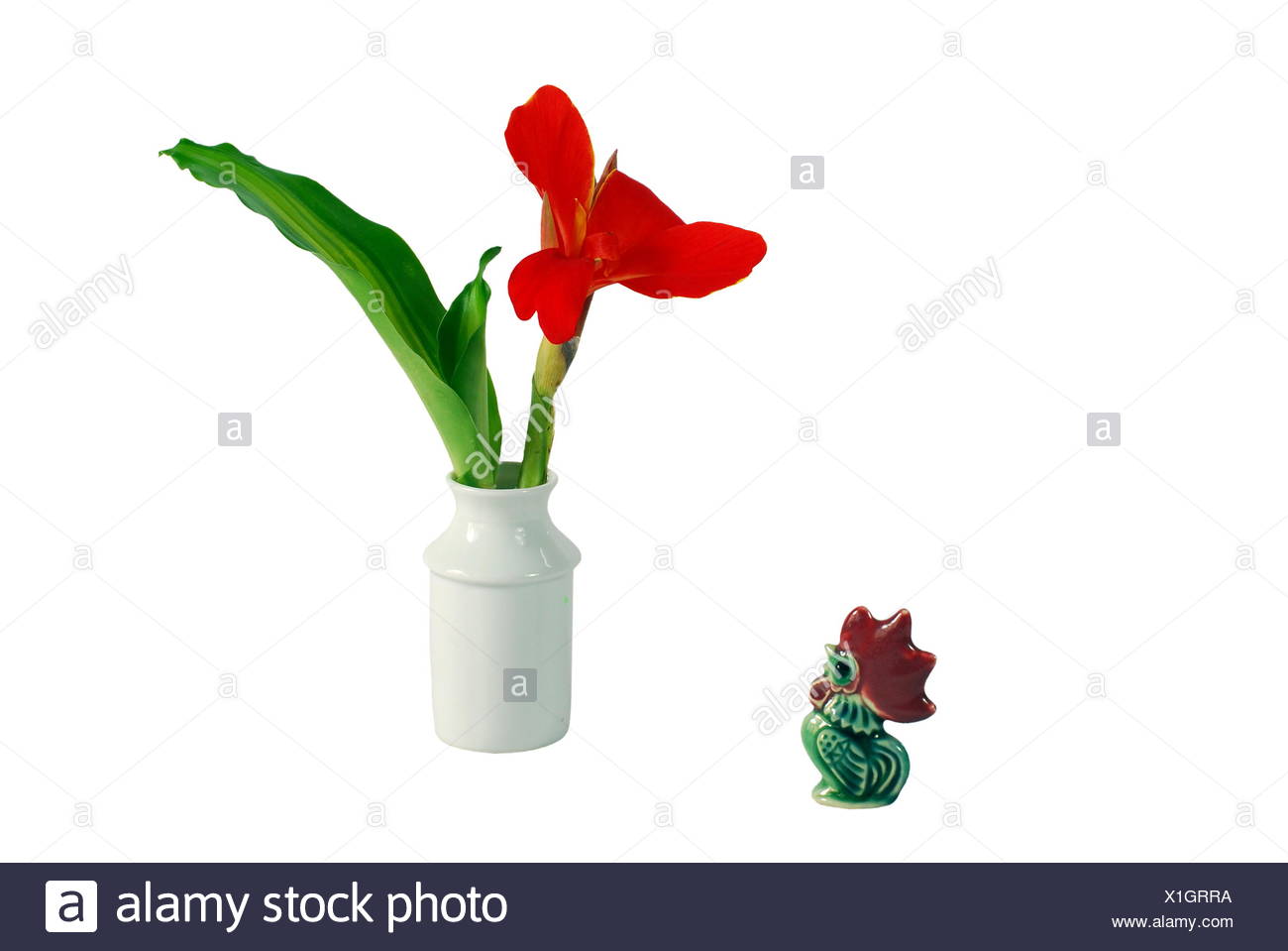 floral arrangement accessories