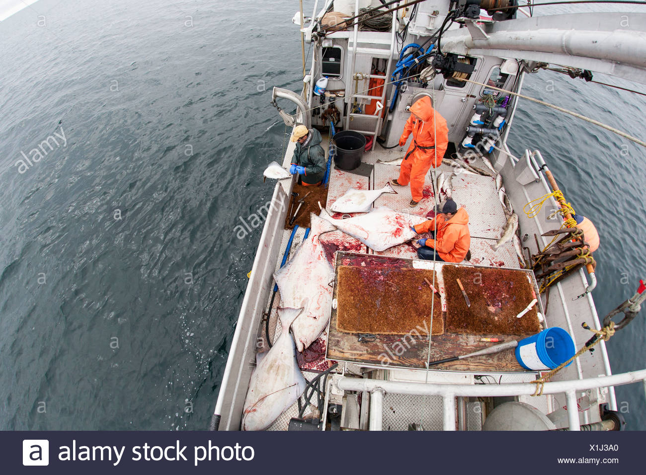 commercial longline fishing