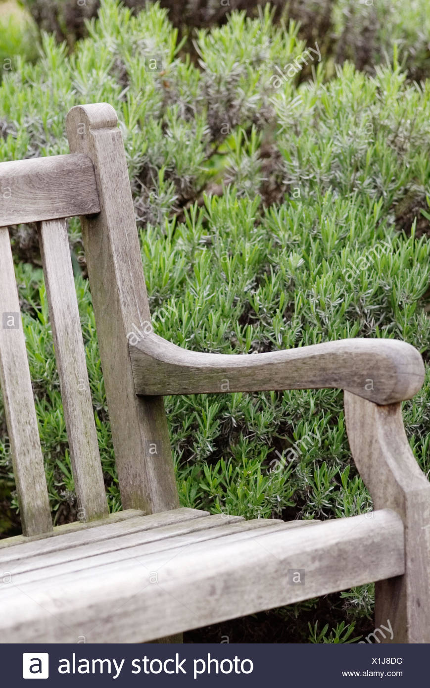 Hyde Park Bench London England Stock Photo 276382328 Alamy