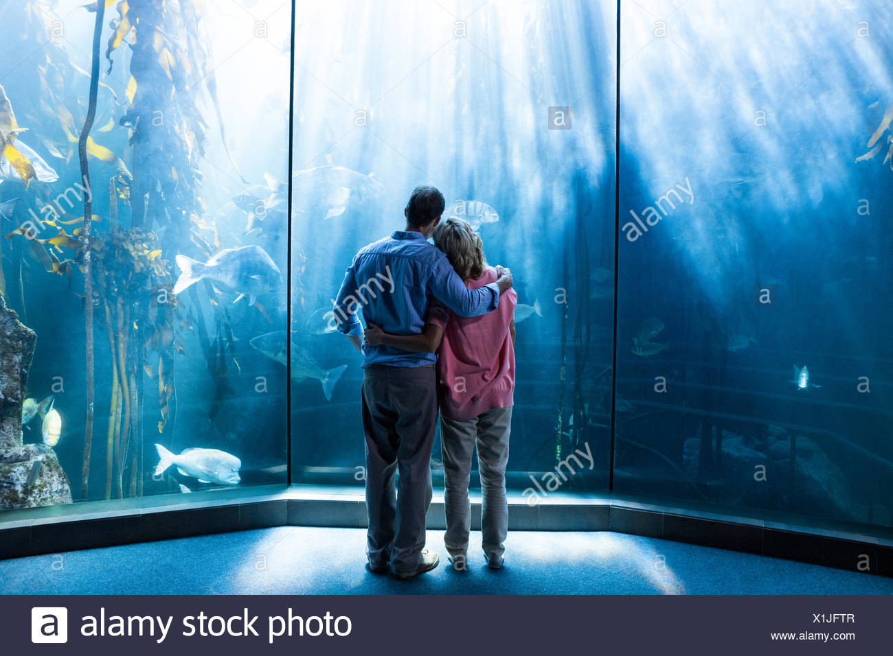 What To Wear To The Aquarium Aquarium Views