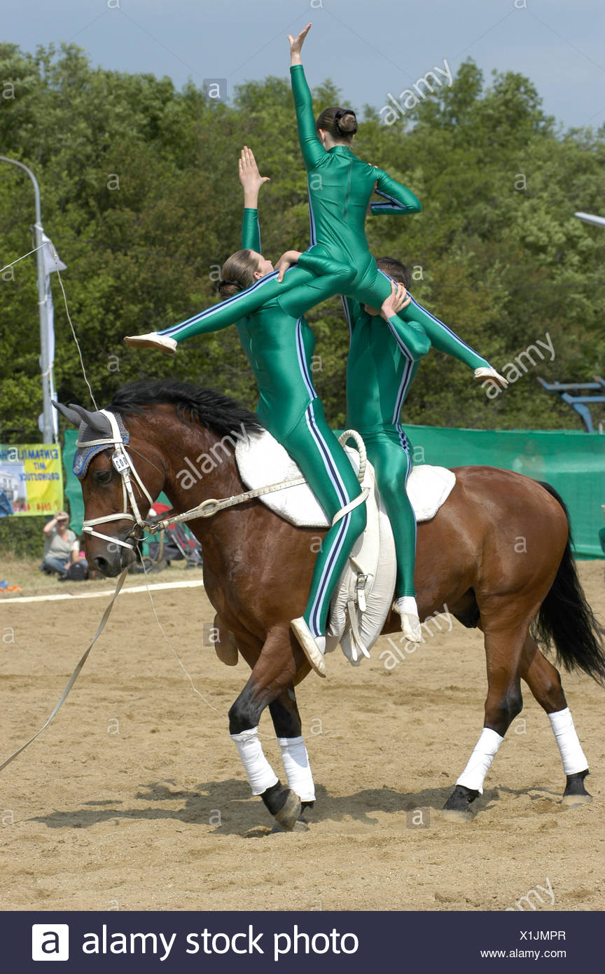 Horse Acrobatics High Resolution Stock Photography and Images Alamy