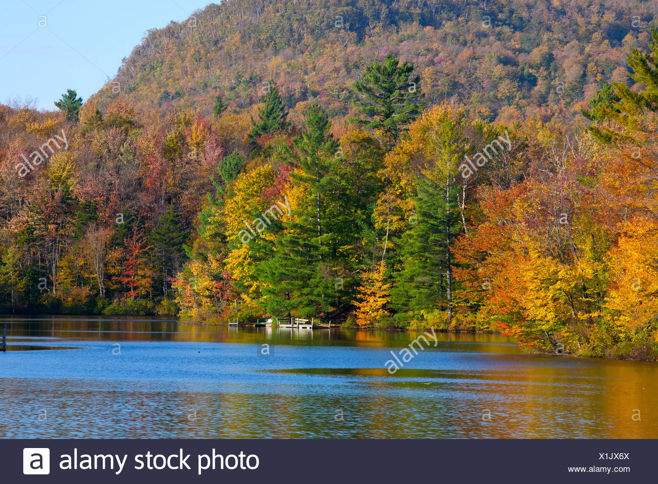 Sallys High Resolution Stock Photography and Images Alamy