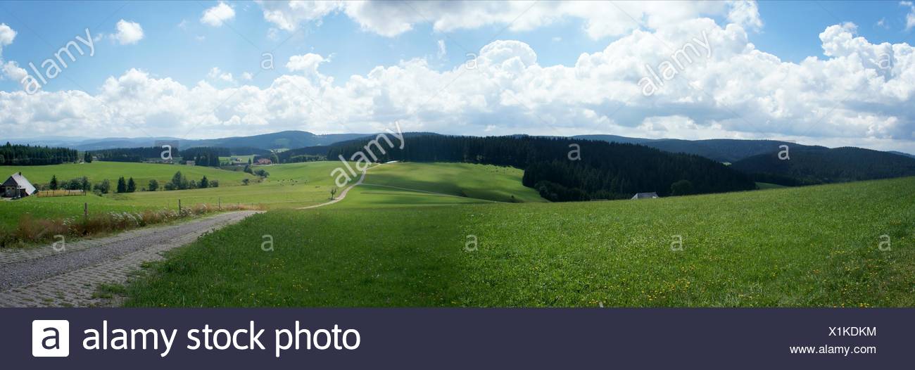 Mit der Erfahrung und Freude nehmen Ihre Vorstellungen in unserem Betriebssitz in Wiesen, Gestalt an. Fordern Sie uns mit Ihren Ideen und Wnschen. Burgmann R-BaugesmbH