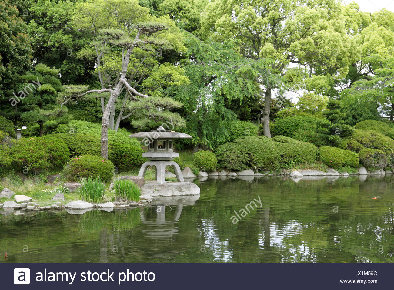 Tree Park Garden Japanese Landscape Scenery Countryside Nature Zen Stock Photo Alamy Tree Park Garden Japanese Landscape Scenery Countryside Nature Zen Stock Photo Alamy