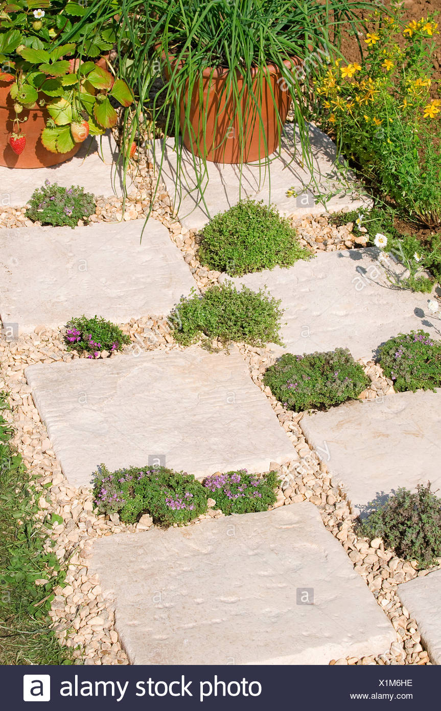 Stepping Stone Garden High Resolution Stock Photography and Images Alamy