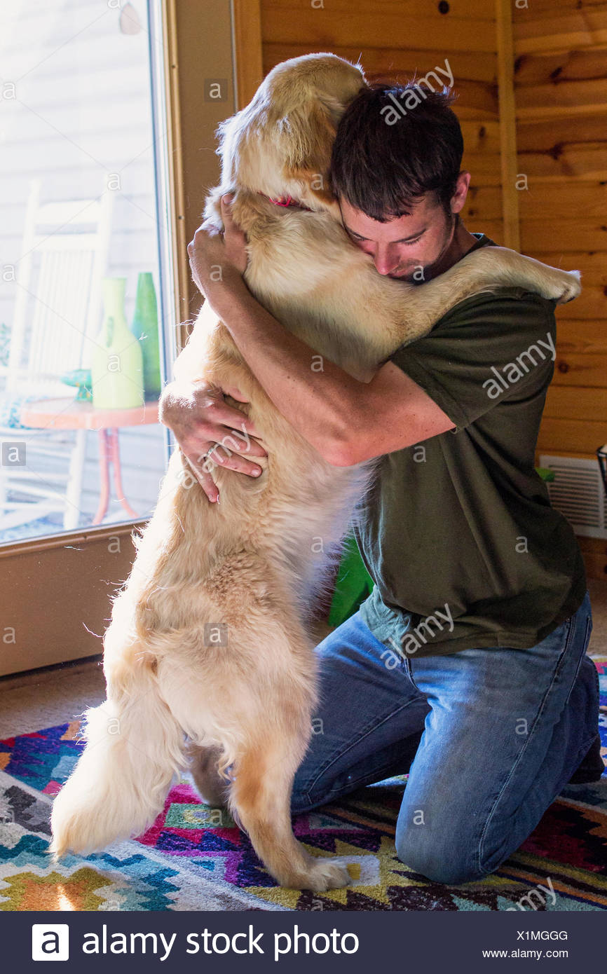 Man Hugging Golden Retriever Dog Stock Photo Alamy