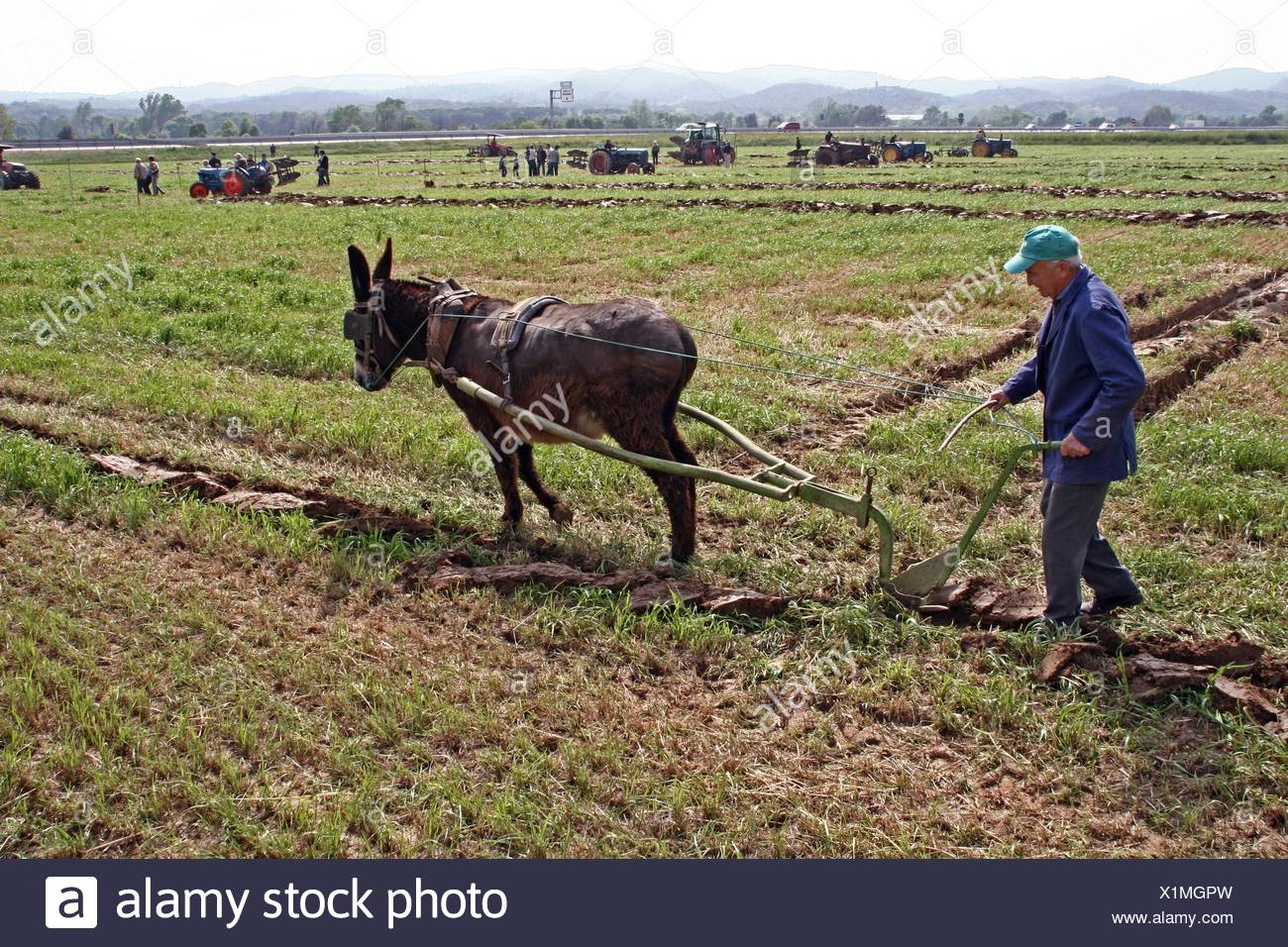 Donkey And Plough High Resolution Stock Photography and Images Alamy