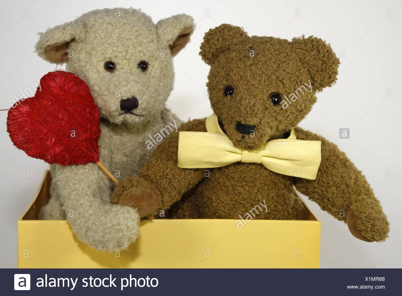 friendship teddy