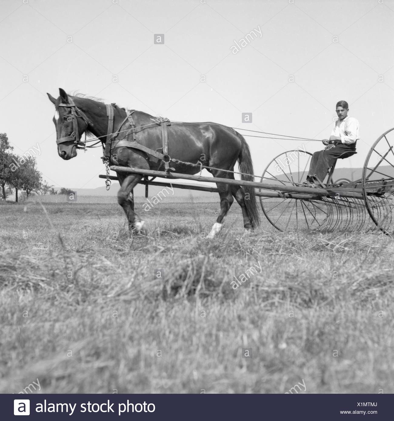 Harvesting 1930s Stock Photos & Harvesting 1930s Stock Images - Alamy
