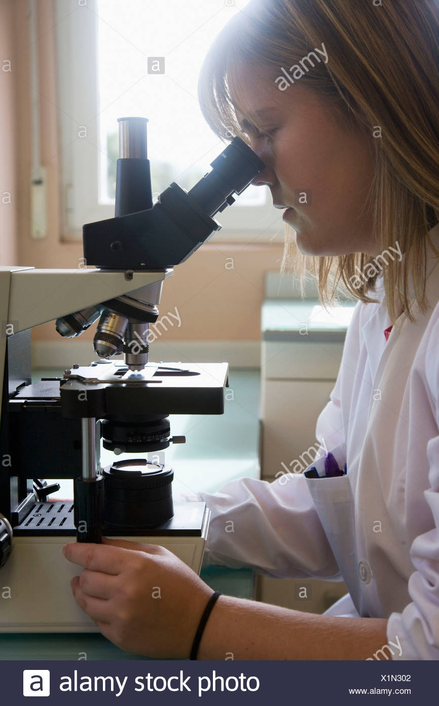 Fungal Research High Resolution Stock Photography and Images - Alamy