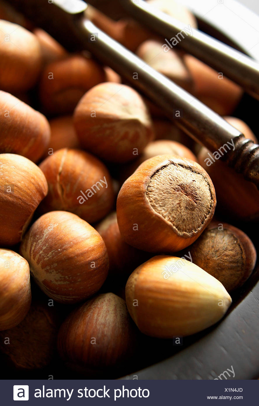 Cob Nut Nuts High Resolution Stock Photography and Images Alamy