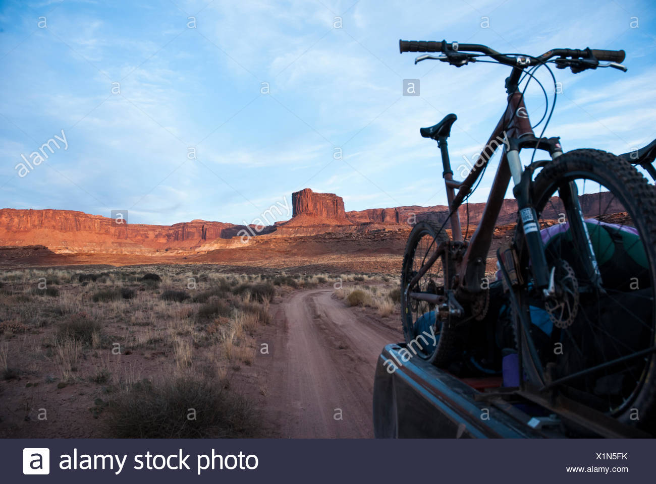 white rim bike tours