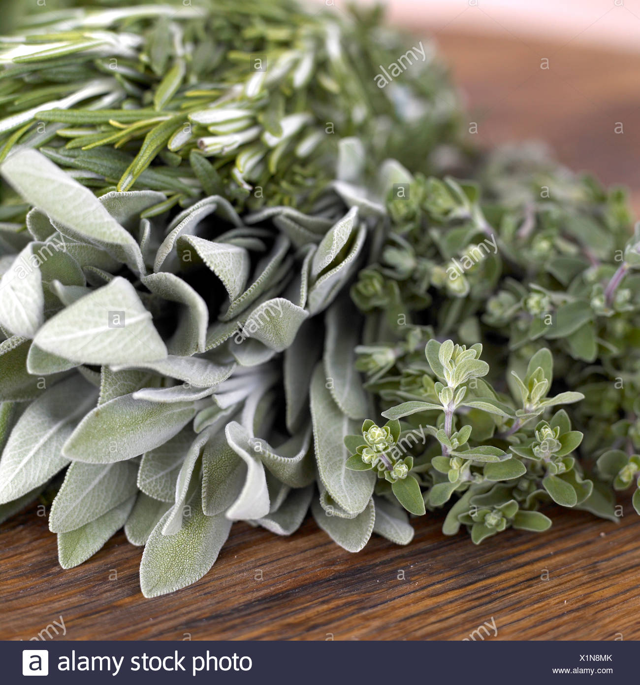 Rosemary Thyme Sage Stock Photos & Rosemary Thyme Sage Stock Images Alamy