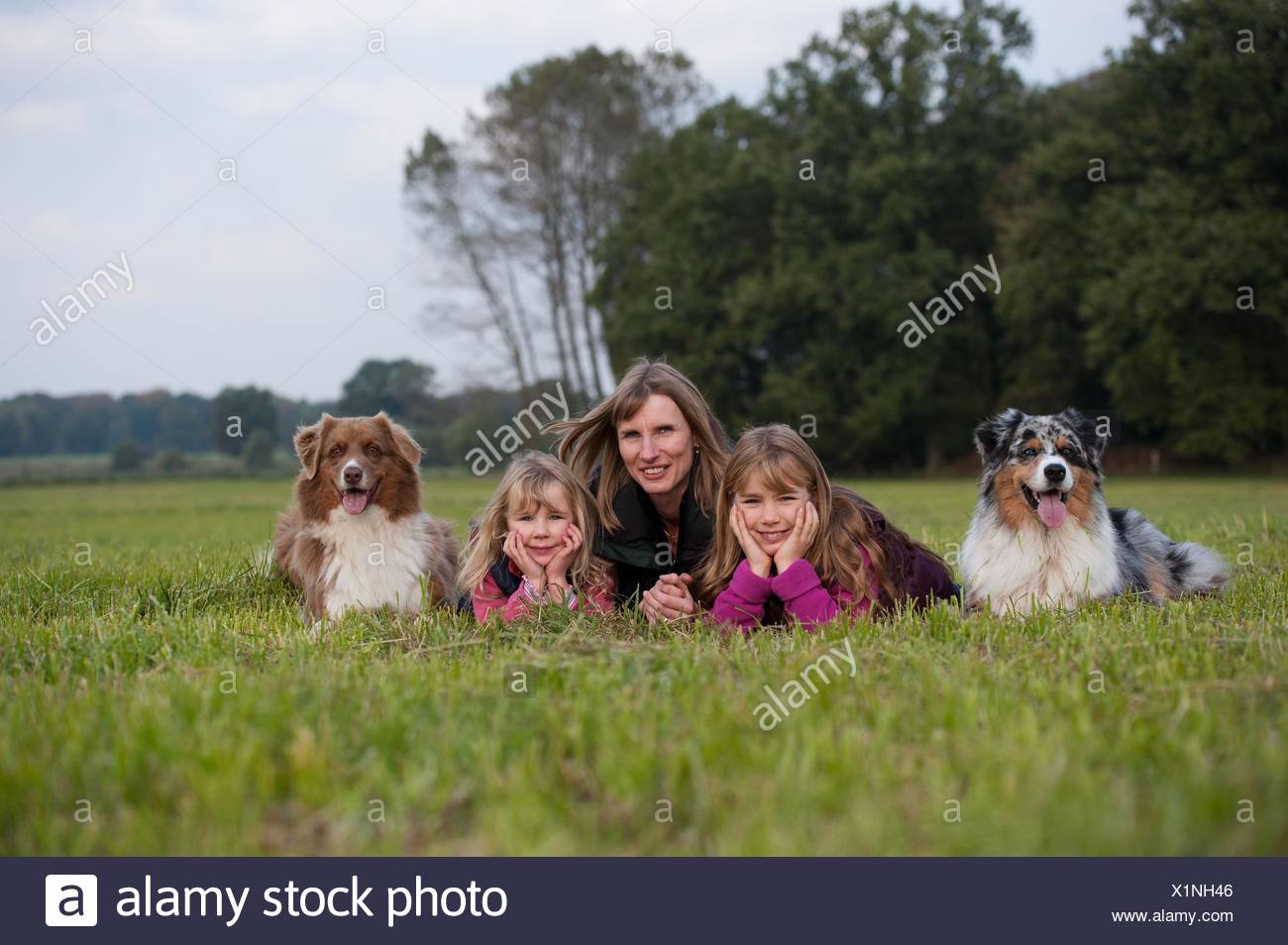 family with Australian Shepherds Stock Photo - Alamy