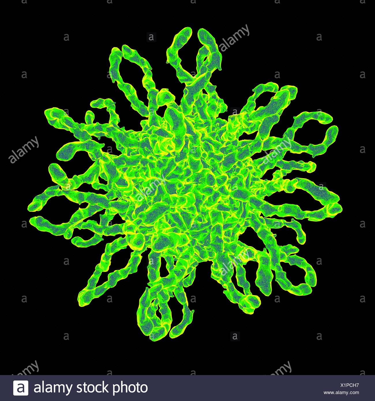 Coxsackievirus High Resolution Stock Photography and Images Alamy